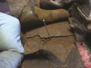 heavily corroded midsoles leave them open to risk of penetration medium