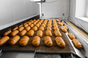 bread production medium