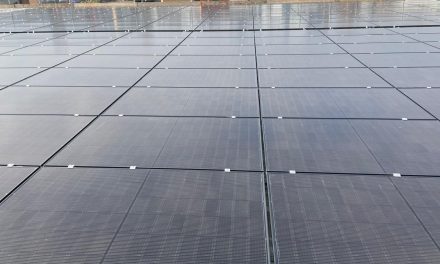 Essentra reaffirms its sustainability commitments