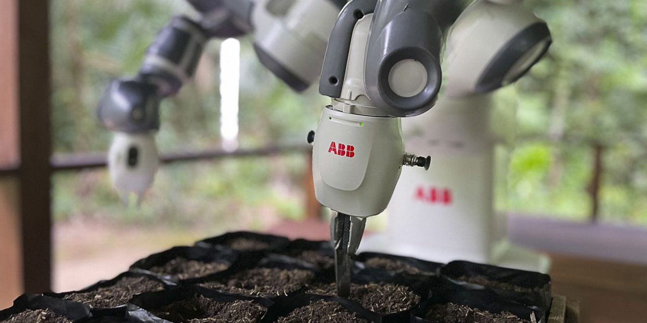 World’s most remote robot automates Amazon reforestation project