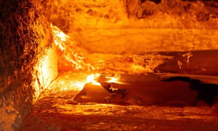 Aluminium sector’s impact tops £7.4bn as industry chief predicts major role for material in journey to Net Zero