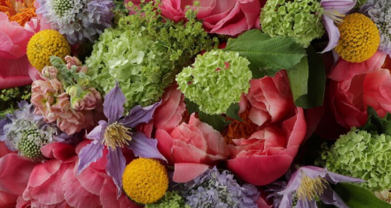 Arena Blossoms with Infor