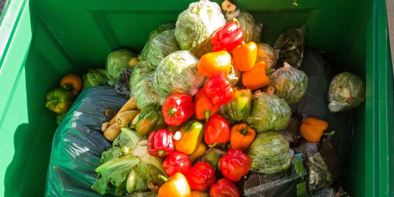 How automating the food industry can reduce waste and ruined food