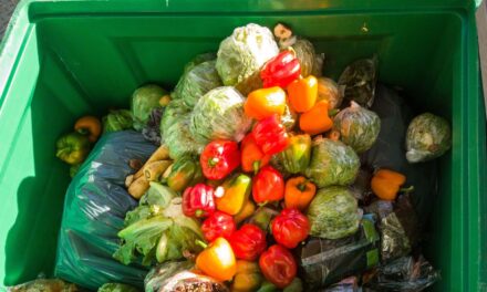 How automating the food industry can reduce waste and ruined food