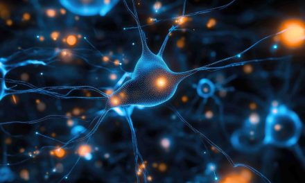 How machine learning and neural networks can improve operations