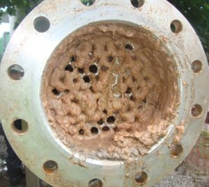 Biological fouling from algae can often be encountered where river water is used for cooling