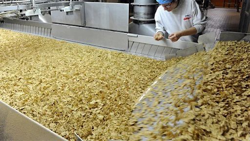 Hot enough? How combining thermal vision with traditional vision is redefining food safety, compliance and automation