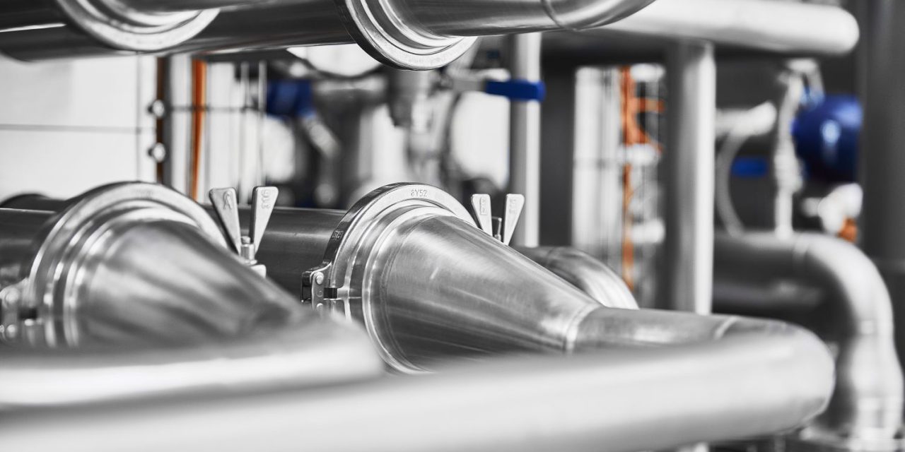 From shell to shelf: top tips for processing egg products