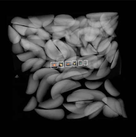 Improving Contaminant Detection with Dual Energy X-ray and Photon Counting