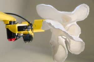 DSC3667 Bearbeitet small