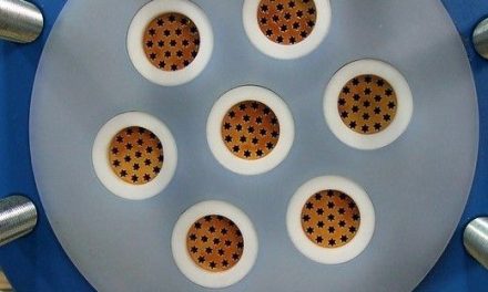 Mantec Expertise Proves Decisive Again