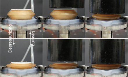 Sponge makes robotic device a soft touch