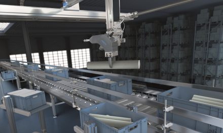 Festo launches GripperAI software to simplify flexible robot handling