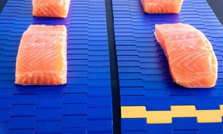 Three ways to improve conveyor sanitation in food processing