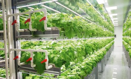 The new generation of vortex sensors