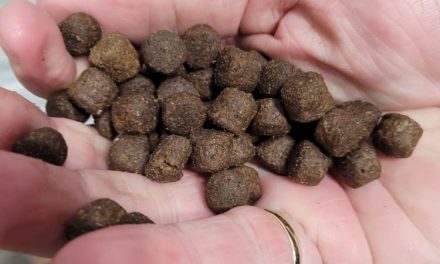 Pet food company makes significant breakthrough in its sustainability efforts