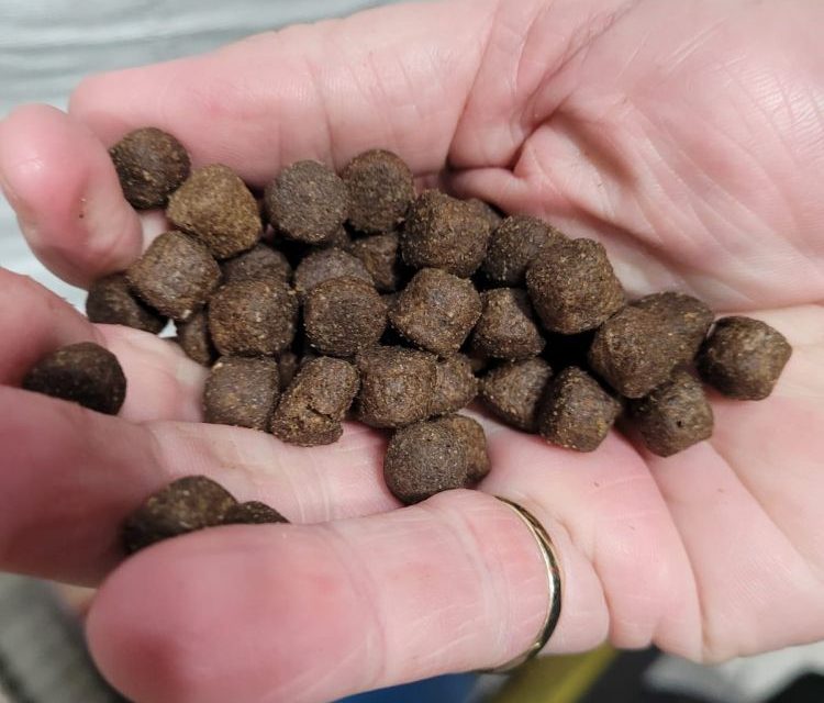 Pet food company makes significant breakthrough in its sustainability efforts