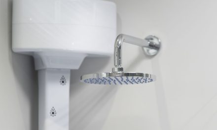 Dutch delight as iDry lands record export deal