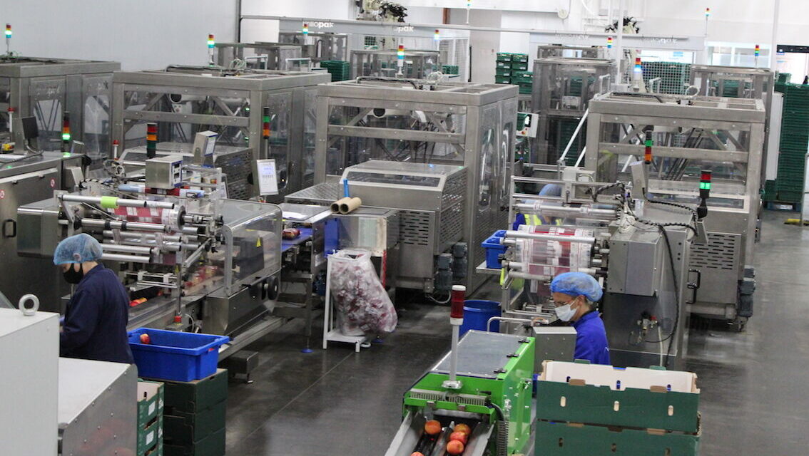 A smoother transition to automation success