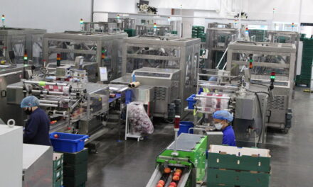 A smoother transition to automation success