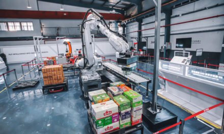 AI+3D vision platform ‘a robot integrator’s dream’