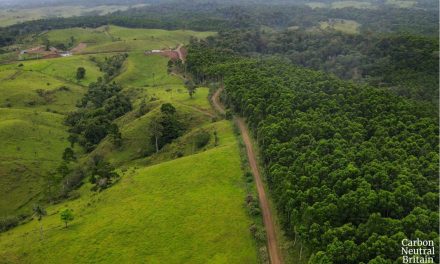 Sumitomo (SHI) Demag UK receives gold certification badge from Carbon Neutral Britain