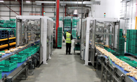 Affordable yet powerful automated end-of-line packaging in reach of everyone at Robotics and Automation 2023