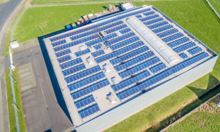 Greenhushing must not impact sustainable action