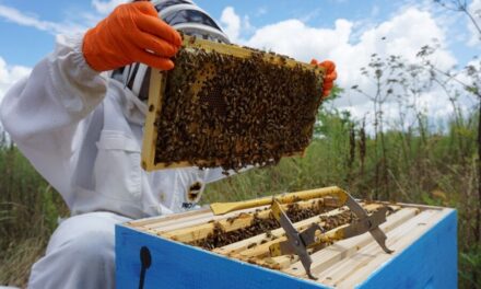 The cutting-edge manufacturer set to shake up sustainability in the manufacturing industry