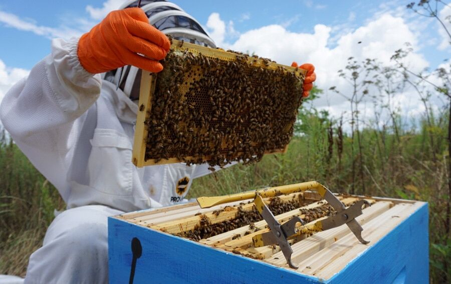 The cutting-edge manufacturer set to shake up sustainability in the manufacturing industry