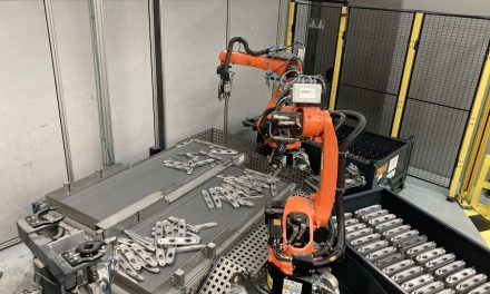 Machine vision for automated gripping perfection