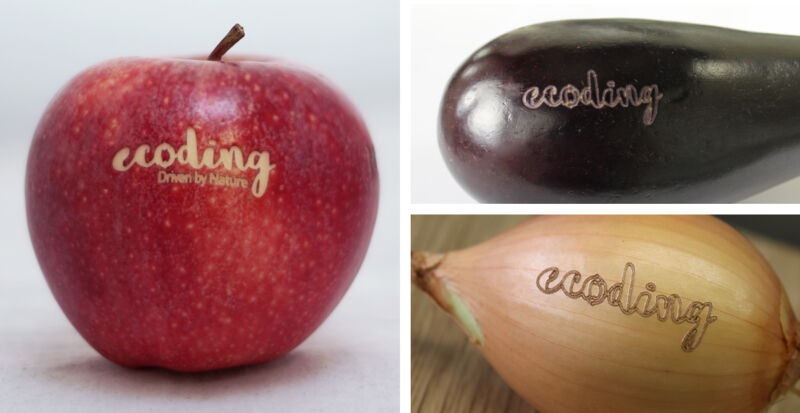 Macsa ID UK Integra Software ensures traceability of fruit and vegetable products