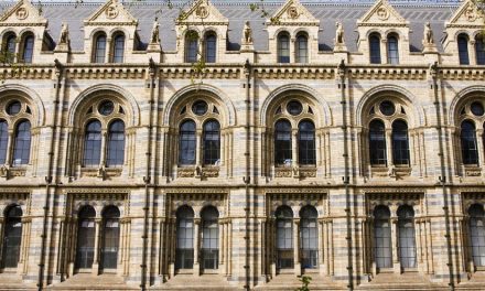 Yorkshire-manufactured linseed paint chosen for £20m Natural History Museum renovation