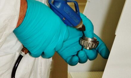 The true cost of bearing lubrication