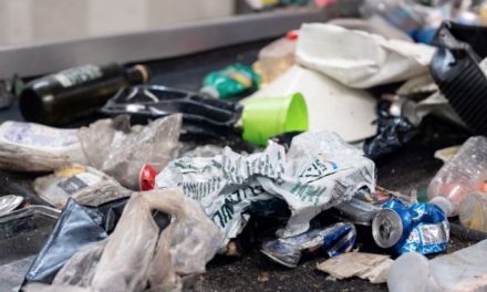 Revolutionising packaging: Navigating towards a sustainable future