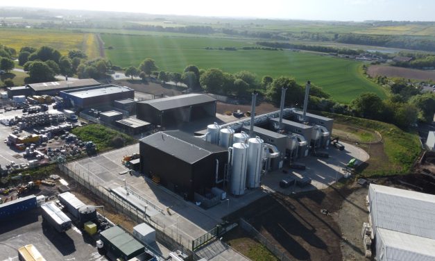 What really works when decarbonising energy intensive industries?