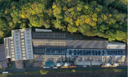 Local MP Visits Archwood Group to Discuss Industry Challenges and Sustainability Plans