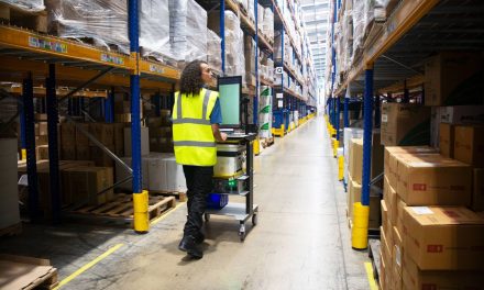 Keeping Goods Flowing and Minimising Costs