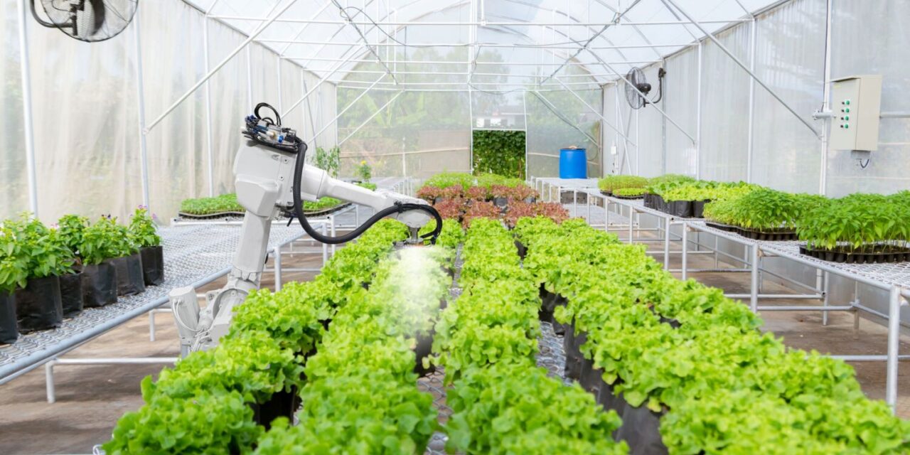 First salad, now carrots and leeks: How technology is plugging the void to build resilient domestic food supply chains