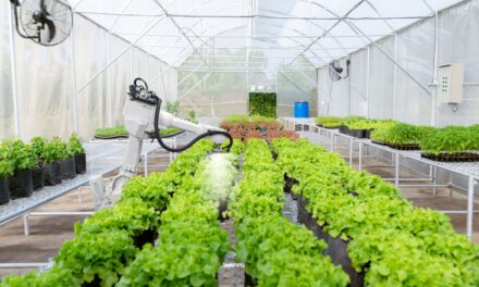 First salad, now carrots and leeks: How technology is plugging the void to build resilient domestic food supply chains