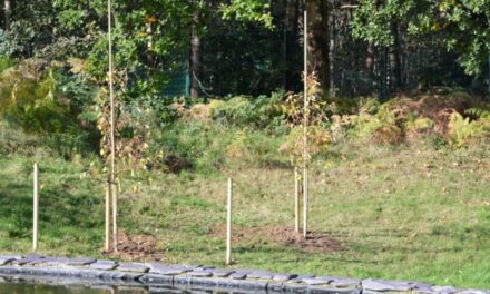 Vision Engineering first Surrey business to support the ‘Queen’s Green Canopy’ initiative