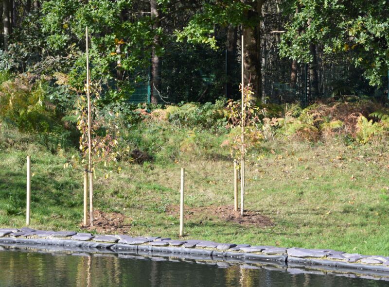 Vision Engineering first Surrey business to support the ‘Queen’s Green Canopy’ initiative
