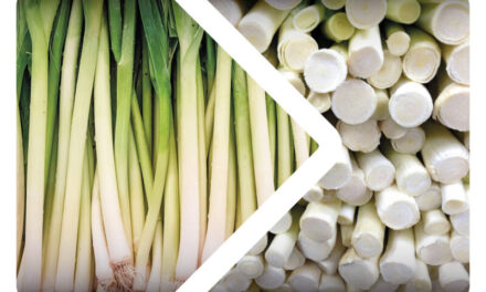 Bespoke AI technique delivers ‘utopian’ vision of product presentation