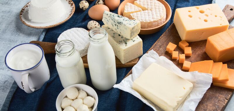 AVE UK’s mozzarella processing line helps Fratelli Amodio bring taste of Italy to UK