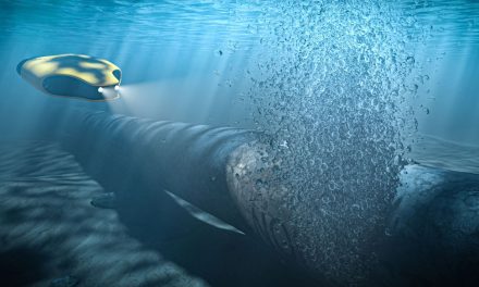 Reliable power in high-pressure environments