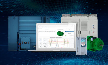 Dual strategies for Industry 4.0