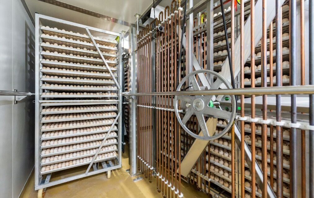 Accurate and reliable solenoid valves help hatchery achieve quality and uniformity
