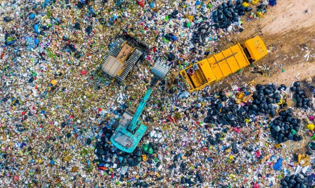 How to reduce plastic waste in supply chains