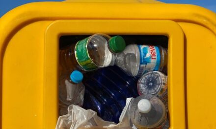 2023 and packaging: What have we seen so far