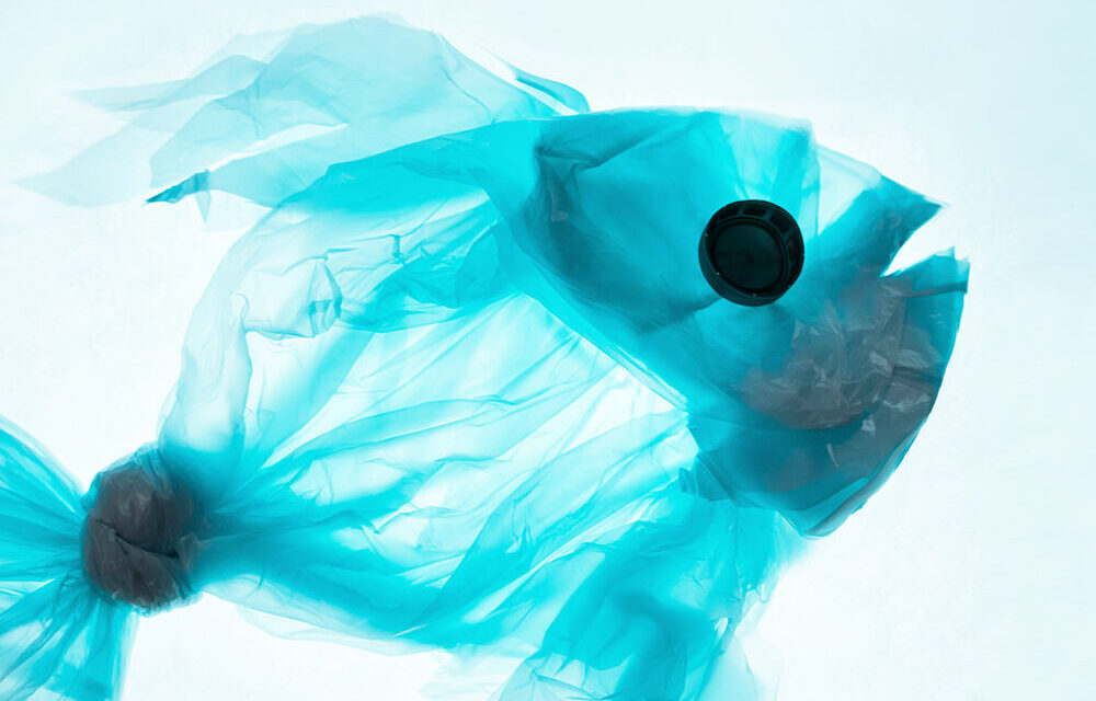 Turning the tide on plastic packaging pollution